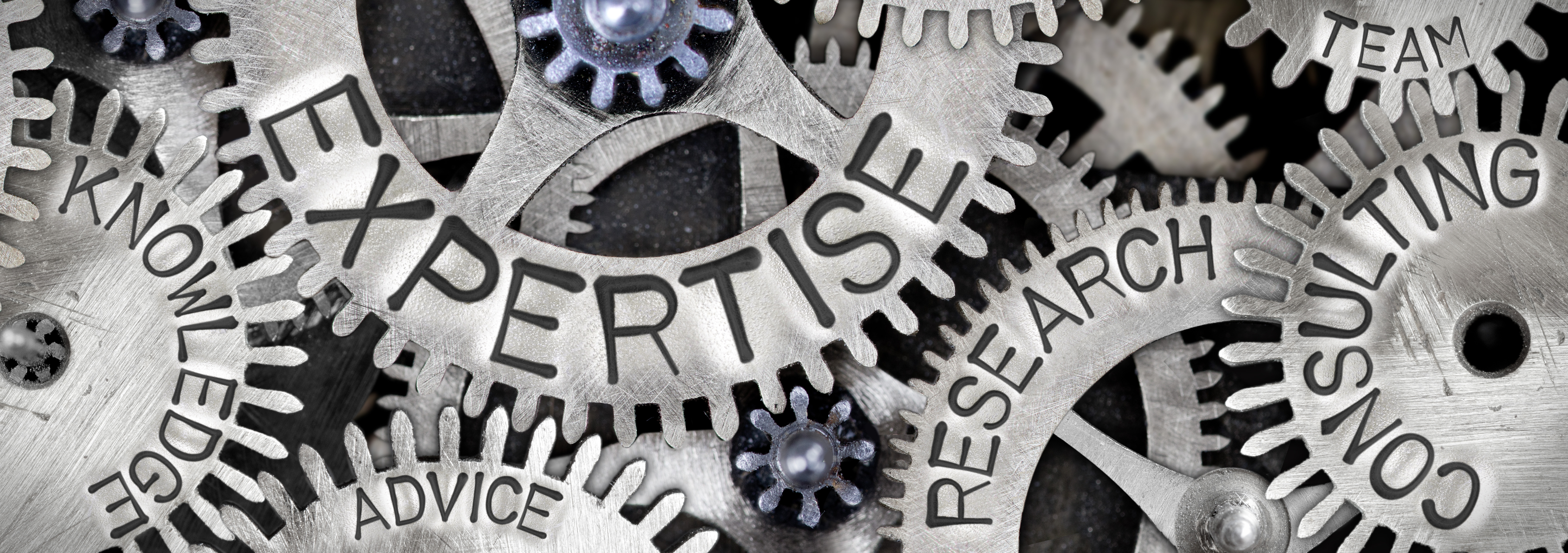 Shutterstock 770612005