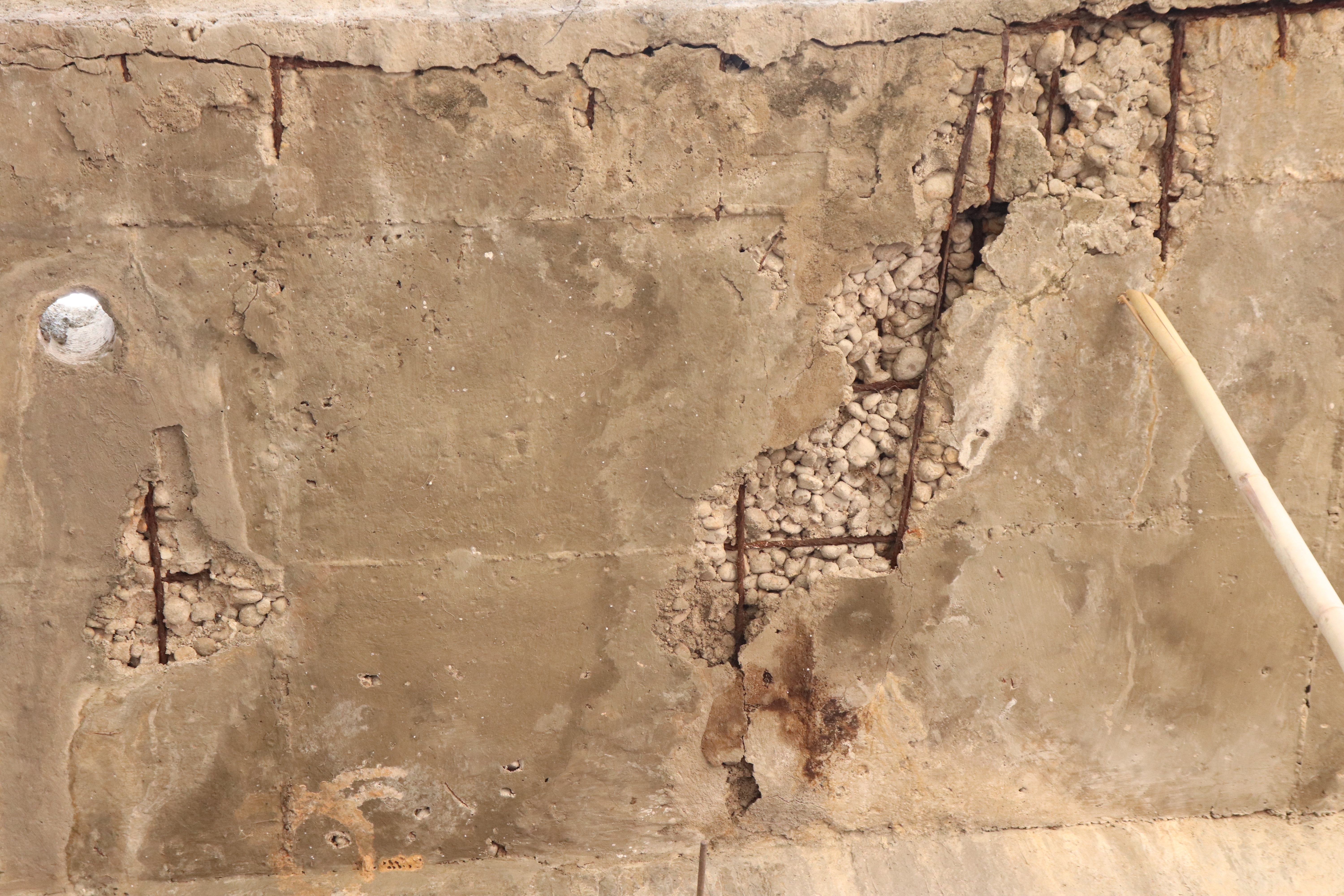 Shutterstock 1415308235