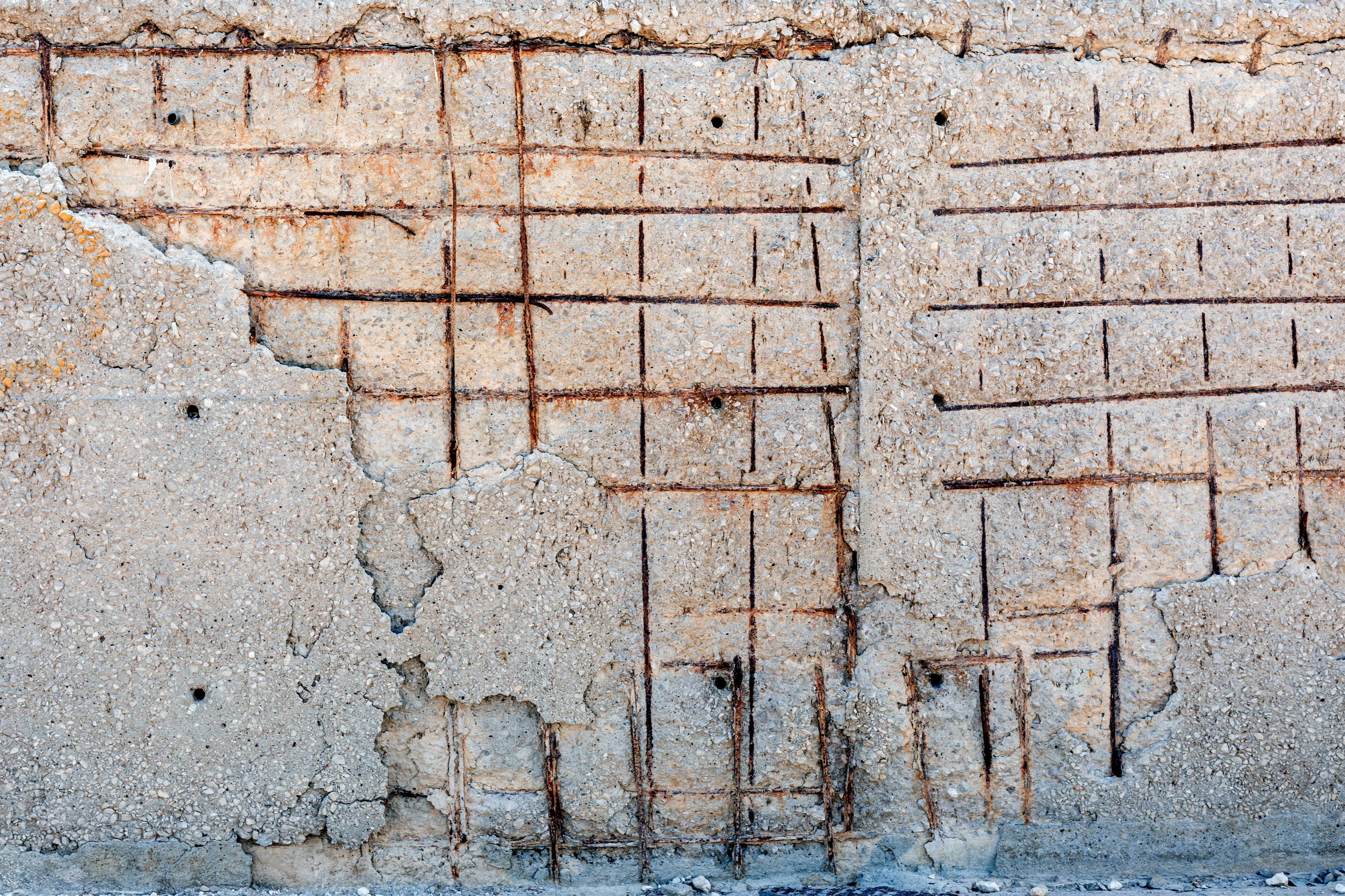 Shutterstock 1489908041