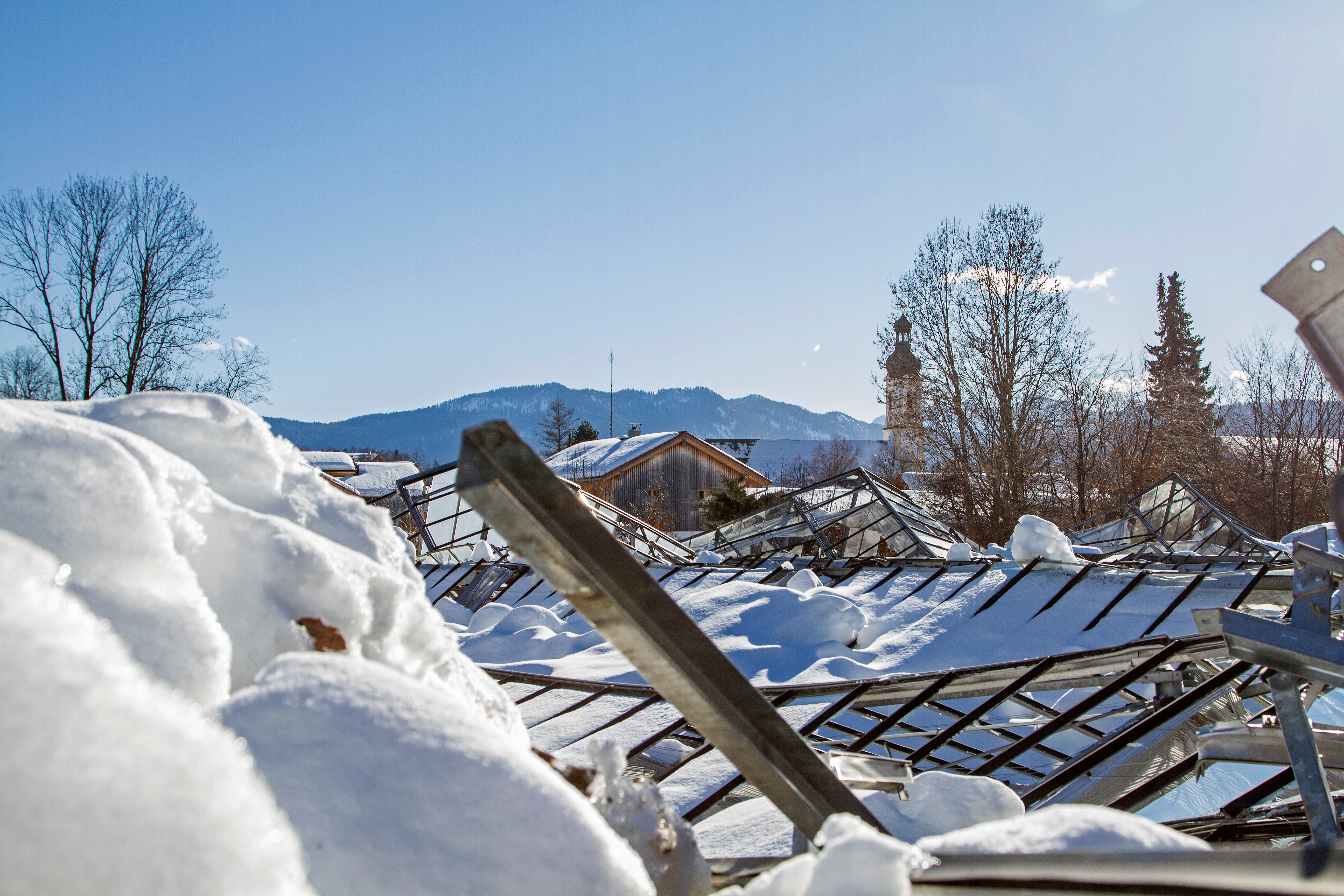 Shutterstock 1347195503